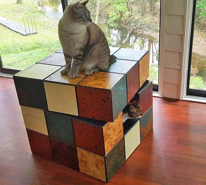 Cube cats. Кот кубик. Котик с кубиком Рубика. Кот из кубиков. Кошка с кубиками.