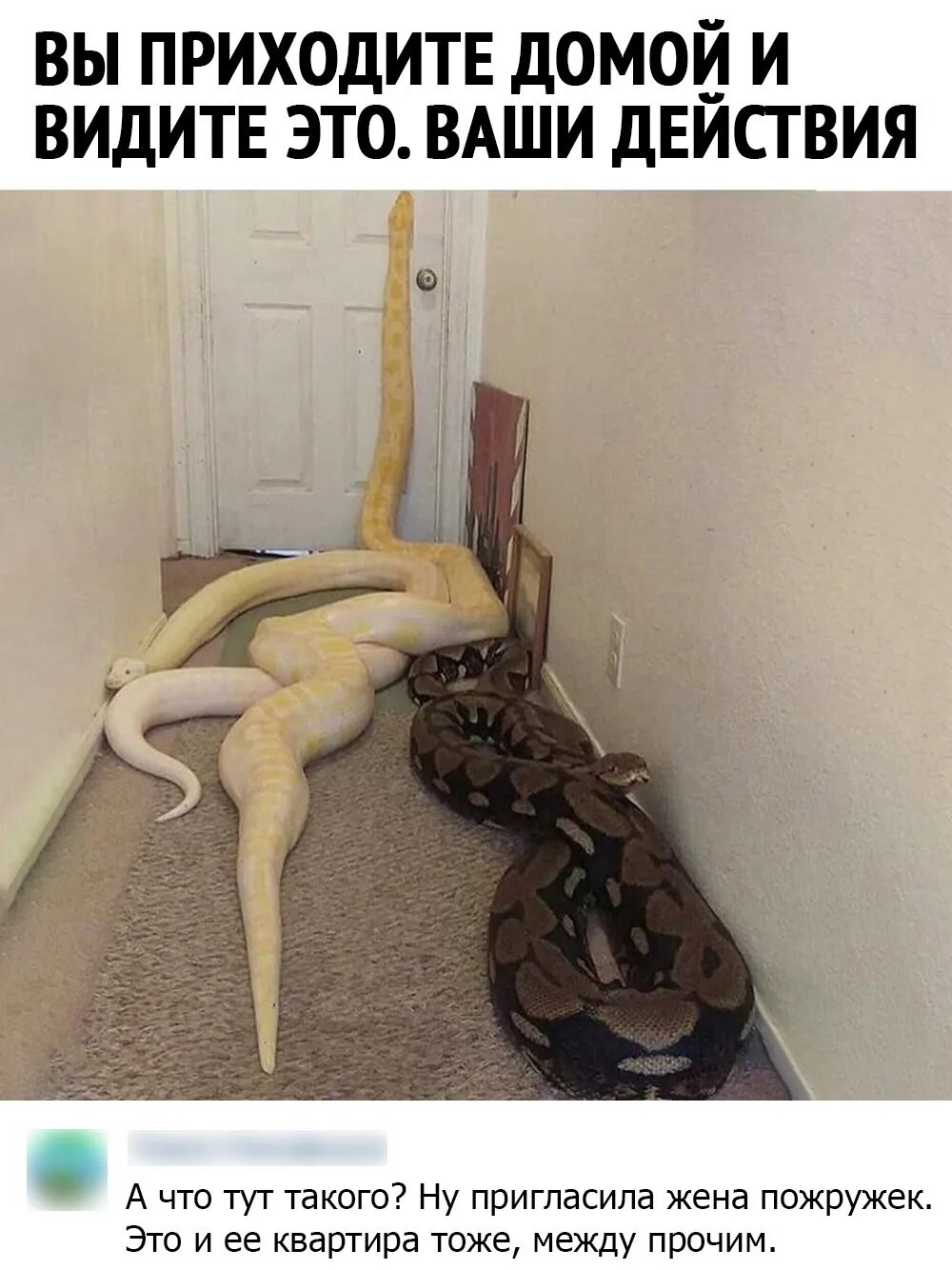 Жена пришла домой с подругой. Анекдот про лотерейку. Жена пришла домой. Жена пришла домой с подругой. Анекдоты про мужа и жену.