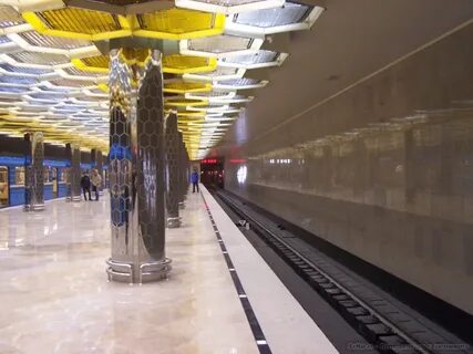 Станция метро ботаническая