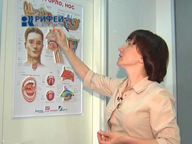 Ухо горло нос пермь. Ухо горло нос клиника пермь. краевая поликлиника ухо горло нос. клиника уха горла носа в худжанде.