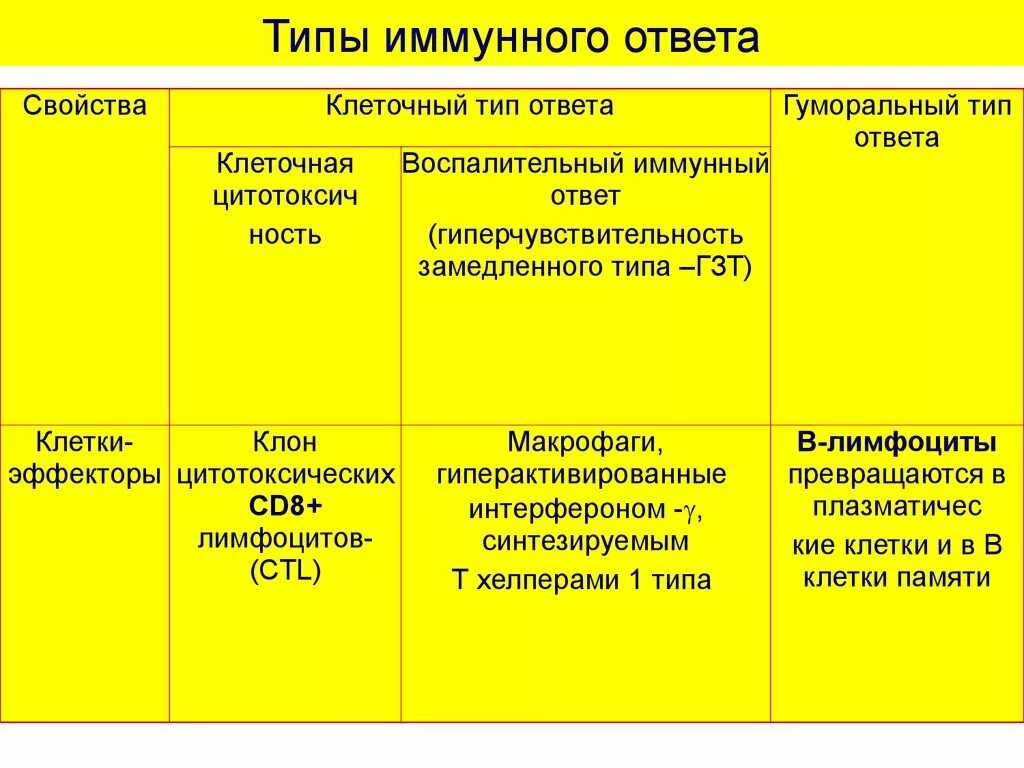 Развитие иммунного ответа