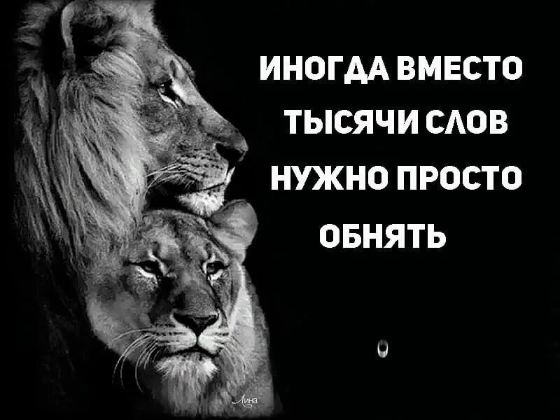 Вместо тысячи слов десять тысяч слов. Вместо тысячи слов обнять. Иногда вместо тысячи слов надо просто обнять. Иногда вместо тысячи слов. Иногда нужны просто обнимашки.