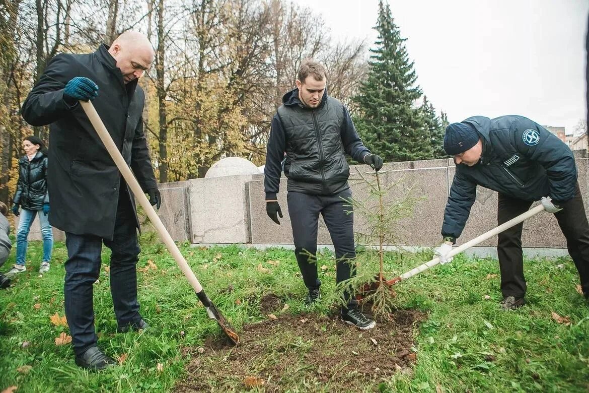 Высадили участника сво. Посадка деревьев вокруг аэропорта Нижний Новгород. Фото 20 елей посаженных Волыновым. Фото 20 елей посаженных Волыновым в Звездном. Пересадка елей Первоуральск.