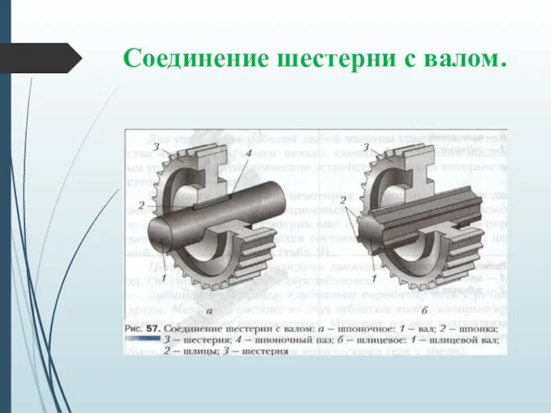 Шпоночное соединение вала. Шпоночное соединение шестерни с валом перечислить элементы. Шлицевое соединение шестерни с валом. Соединение зубчатого колеса с валом шпонкой. Соединения зубчатого колеса с валом круглой шпонки.