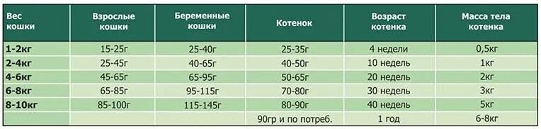 Вес шотландского котенка в 6 месяцев. Вес кошки в 1 год норма. Вес обычного котенка по месяцам таблица норма. Норма веса у котов по возрасту.