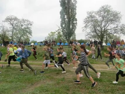 Колос елань волгоградская область медицинский