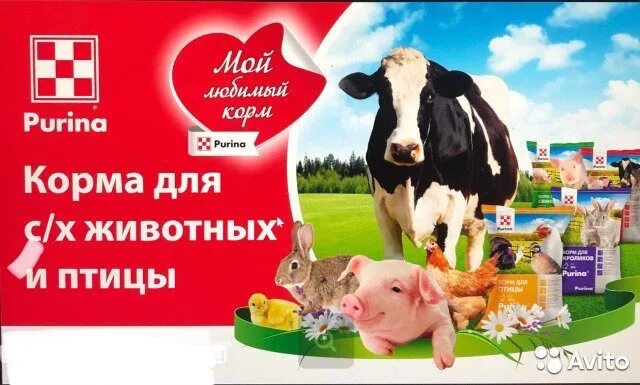 Реклама корма для животных. Комбикорма для животных. комбикорм баннер. корма для сх животных и птицы. баннер корма для животных.