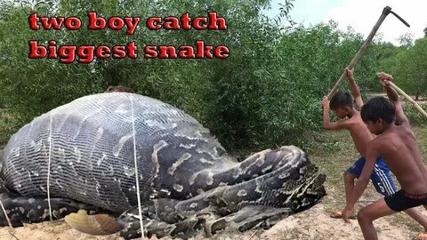 Dig catch
