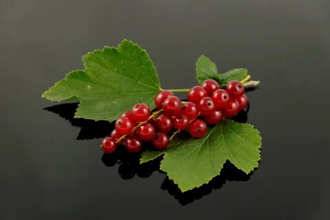 Ягоды красной смородины