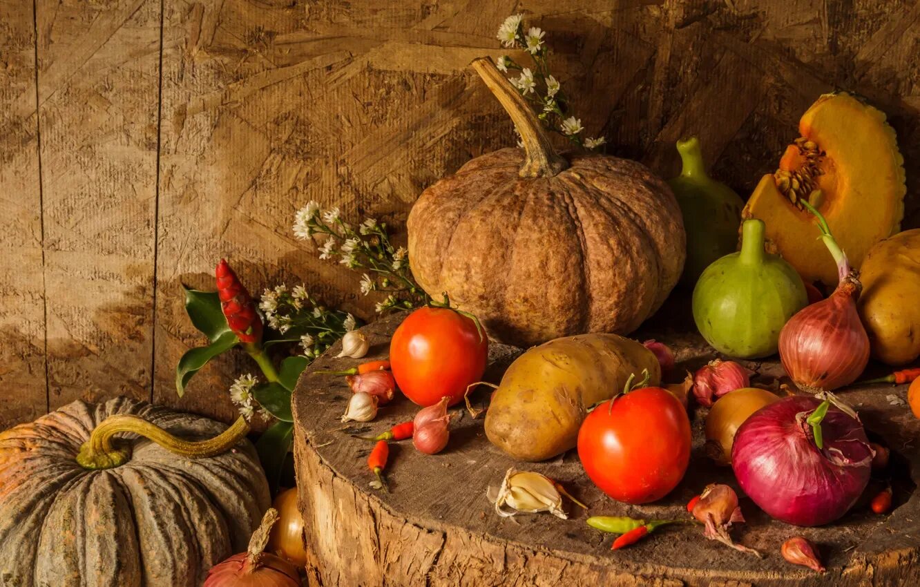 Осенние овощи фото Кукурузный лист купить по низкой цене на Яндекс Маркете
