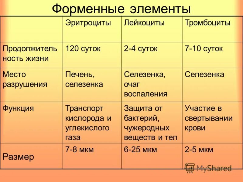 Назовите элементы крови. Таблица состав крови биология 8 класс. Форма эритроцитов лейкоцитов и тромбоцитов. Таблица клетки эритроциты лейкоциты тромбоциты. Строение эритроцитов лейкоцитов и тромбоцитов.