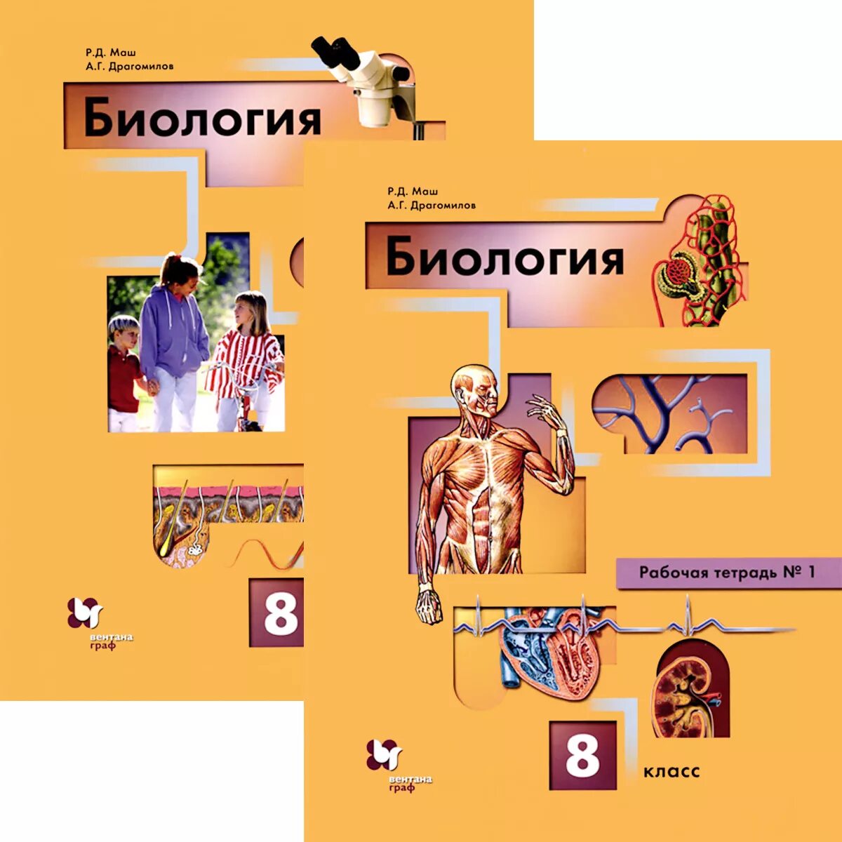 5 8 класс. Биология 8 класс драгомилов маш. Драгомилов а.г., маш р.д. биология. Драгомилов а.г., маш р.д. биология 8. Биология 8 класс д.в.Колесов р.д.маш и.н.Беляев.