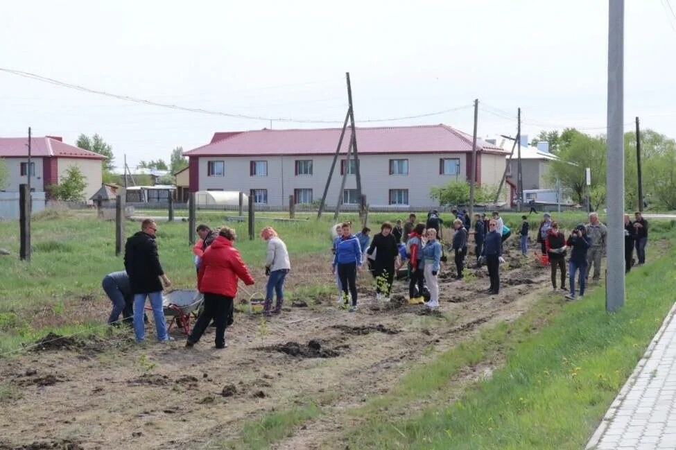 Погода в чистоозерном на 2. Р.П.Чистоозерное. Село победа Новосибирская область.