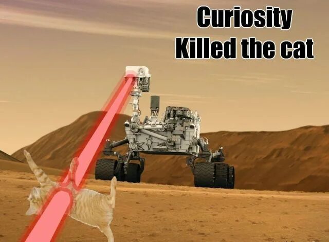 Curiosity killed the. Curiosity Killed the Cat. Curiosity Killed the Cat русский эквивалент. Пословица Curiosity Killed a Cat.. Curiosity Killed the Cat 2012.