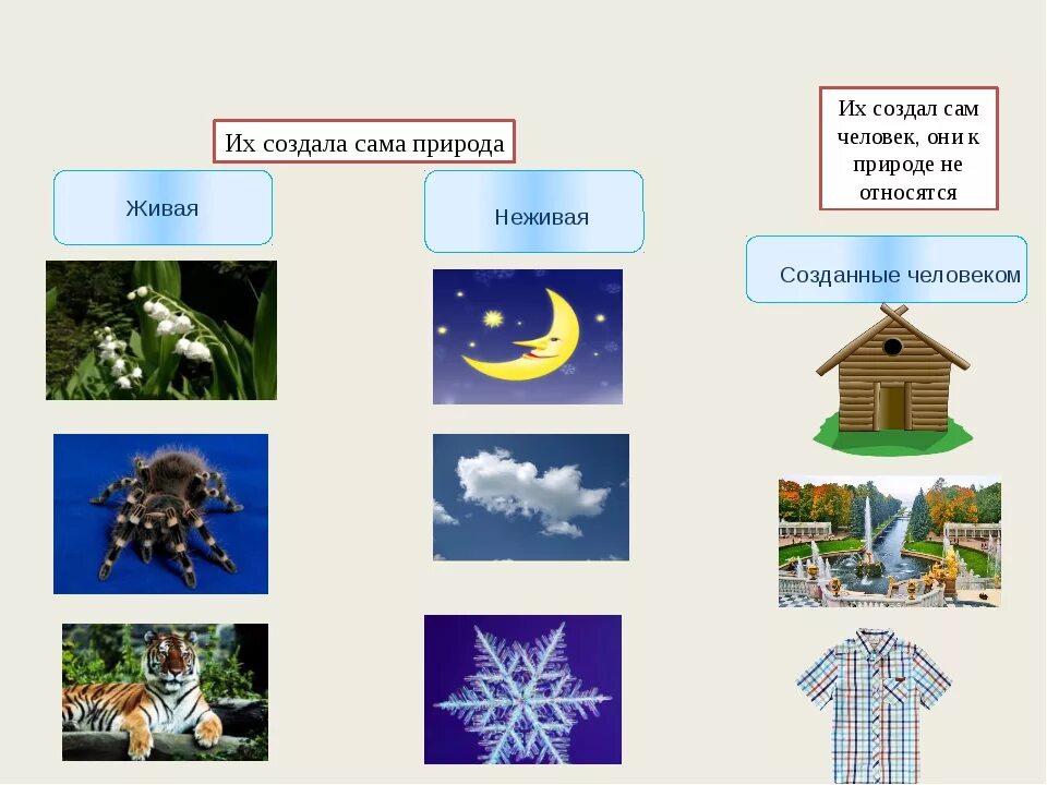 Примеры объектов созданные человеком. Живая и неживая природа. Объекты живой и неживой природы. Тема Живая и неживая природа. Предметы неживой природы.
