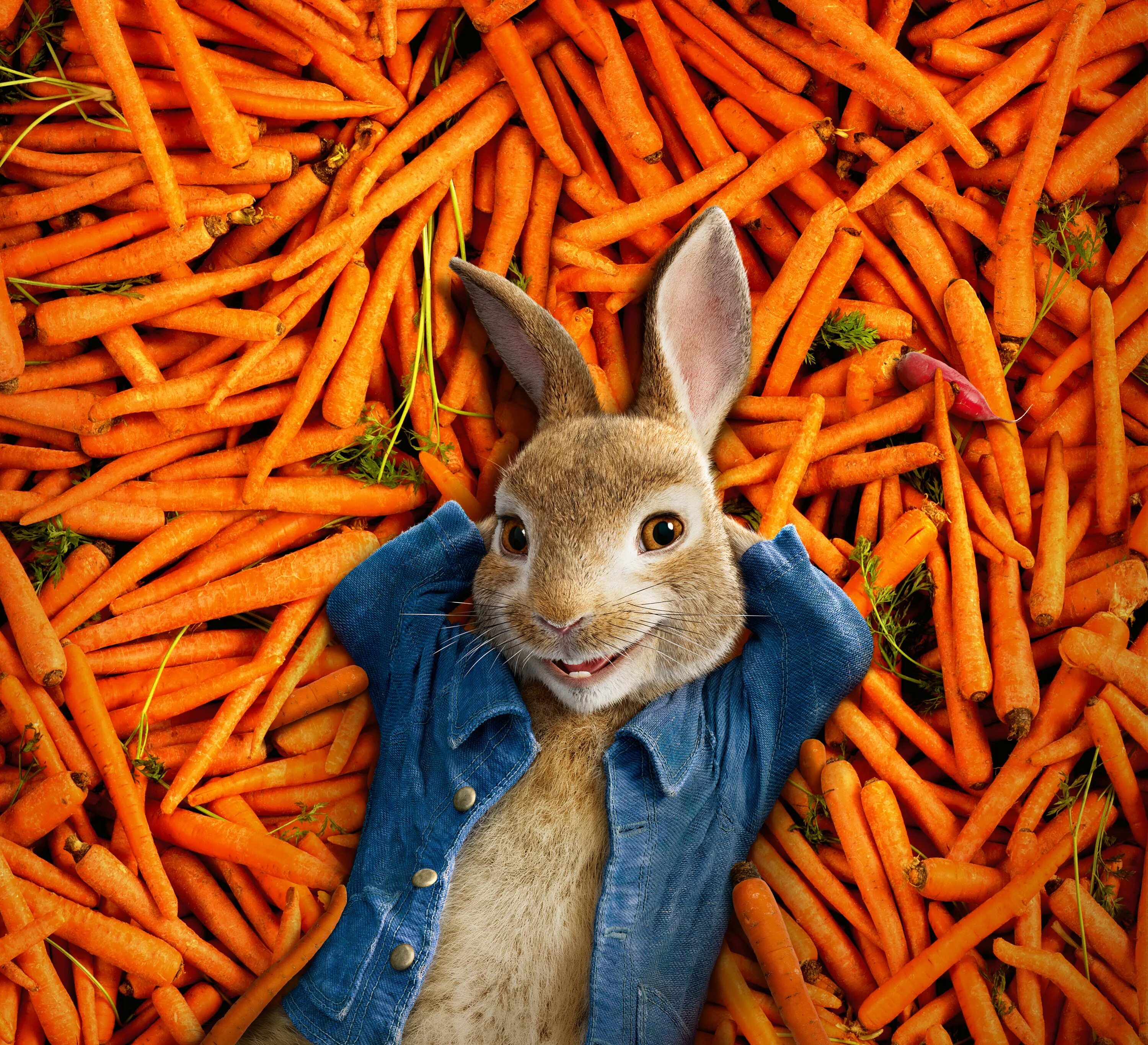 Про зайчишку и овощи. Peter Rabbit (2018). Приключения кролика Питера. Заяц морковь.
