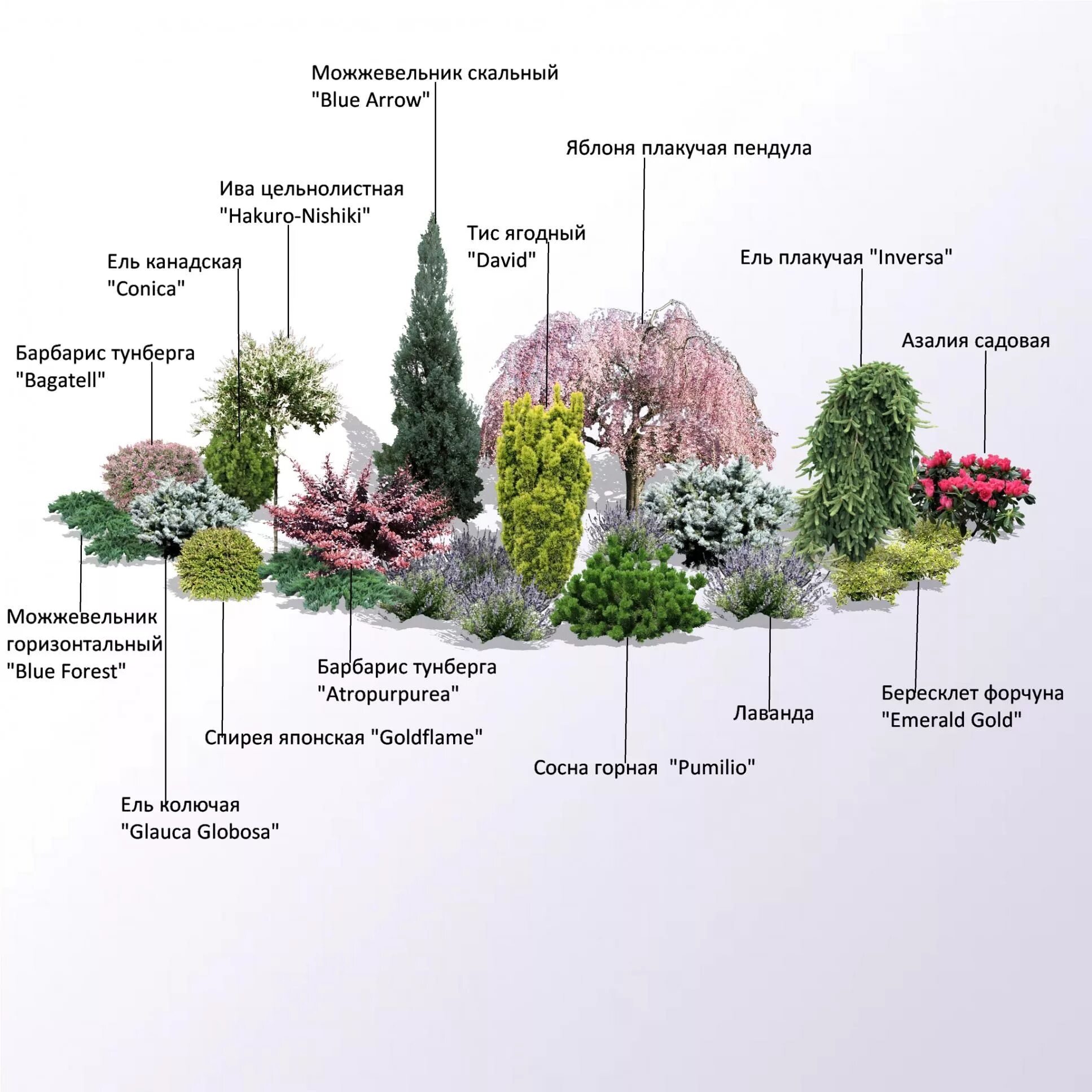 Пин от пользователя Julia Prikhodko на доске Garden Ideas Композиции цветников, 