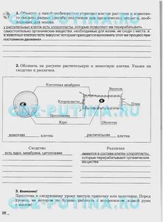 Биология 5 класс рабочая тетрадь параграф 1