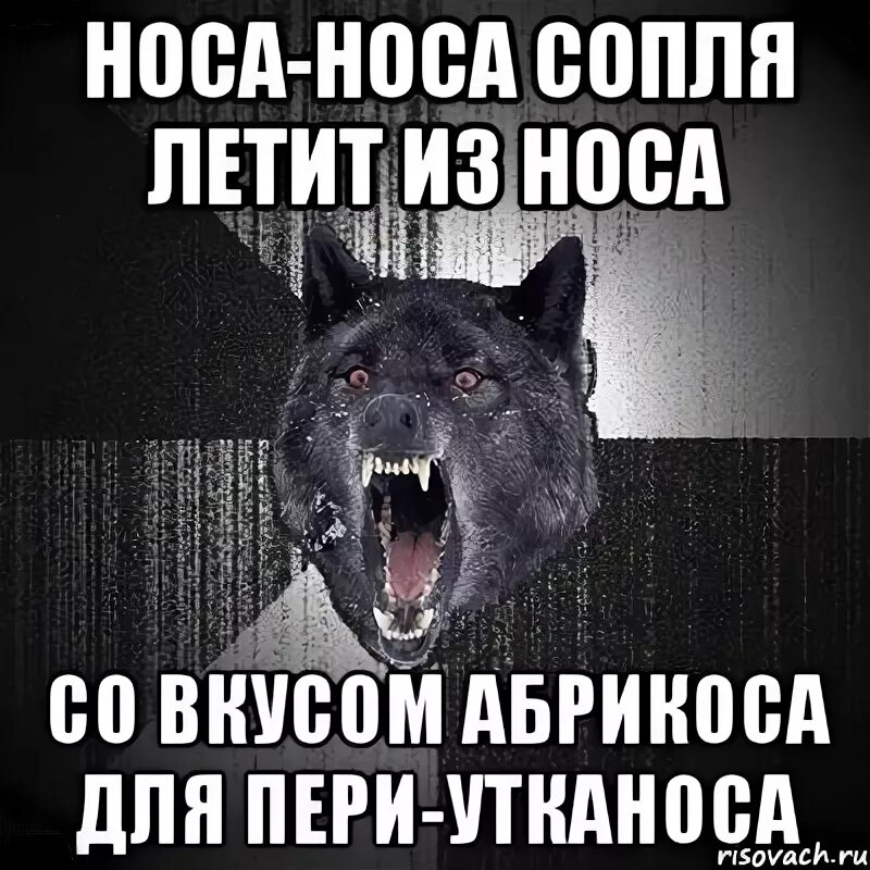 Нос к носу. Носа носа песня. Носе Носе Носе песня. Текст песни носа носа.