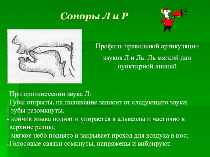 Характеристика артикуляции. Артикуляционный профиль звука л. Правильная артикуляция звука с. Артикуляционный профиль звука л и ль. Правильная артикуляция при произнесение звука л.