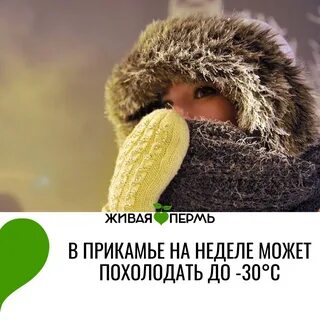 Доброе утро октября похолодало