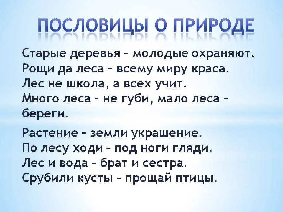 Пословицы о природе. Поговорки о природе. Пословицы и поговорки о природе. Пословитсыпро природу. 10 пословиц и 10 поговорок 4 класс