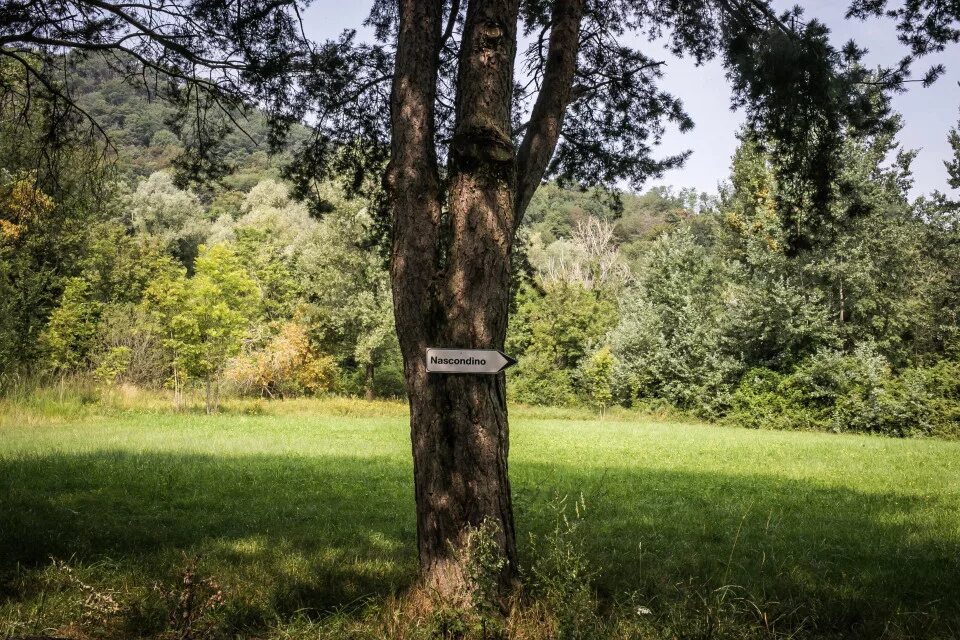 Petite ceinture: заброшенная железная дорога в париже. Заброшенные места энгельс. Уютный уголок в саду. Укромное место камера. Укромное место камера.