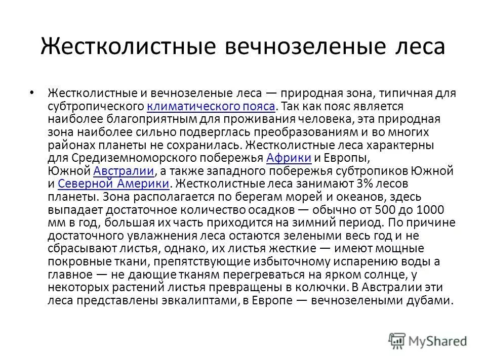 Жестколистные вечнозеленые леса и кустарники природная зона. Жестколистные леса и кустарники климатический пояс. Особенность зоны вечнозеленых жестколиственных лесов. Жестколистные вечнозеленые леса и кустарники климатический пояс.