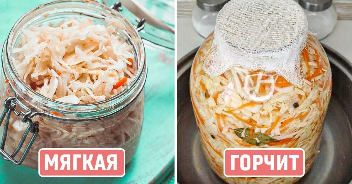 Почему горчит квашеная. Квашеная капуста потемнела. квашеная капуста темнеет. обработка квашеной капусты. заработать на квашеной капусте.