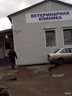 Ветклиника чита