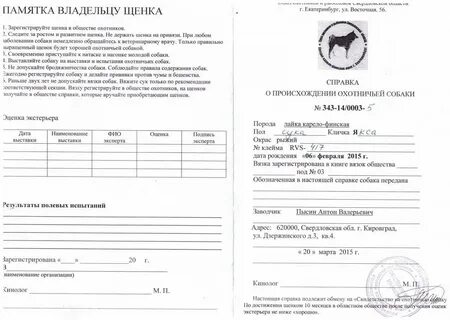 Акт вязки