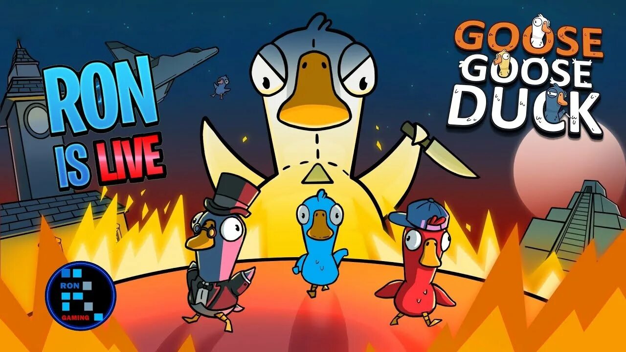 Goose Goose Duck игра. Goose Goose Duck геймплей. Goose Goose Duck квесты. Goose Goose Duck роли. Рон игра