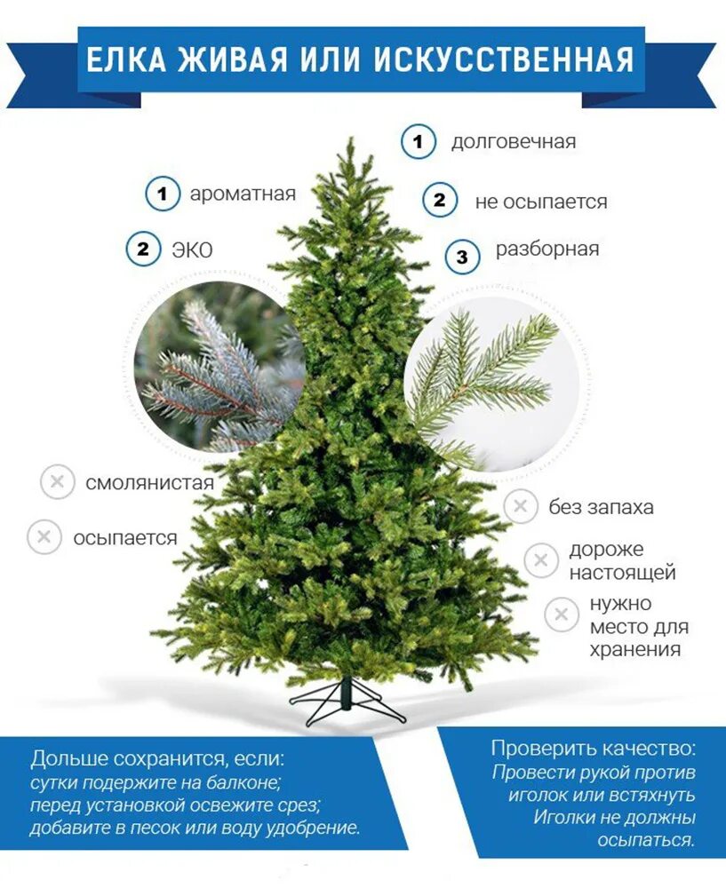 Какую елку искусственную или настоящую. Елка живая и искусственная. какую елку выбрать. живая ель название. как выбрать искусственную елку.