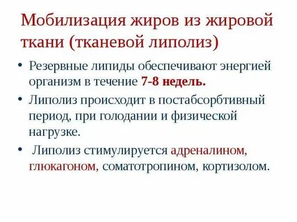 Мобилизация жиров