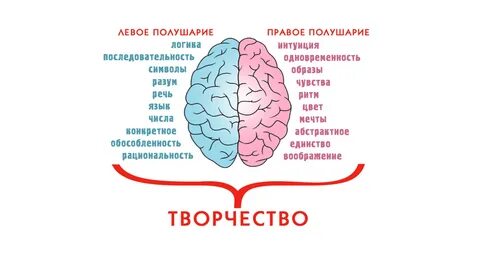Работа обоих полушарий