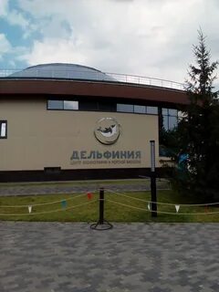 Дельфиния новосибирск