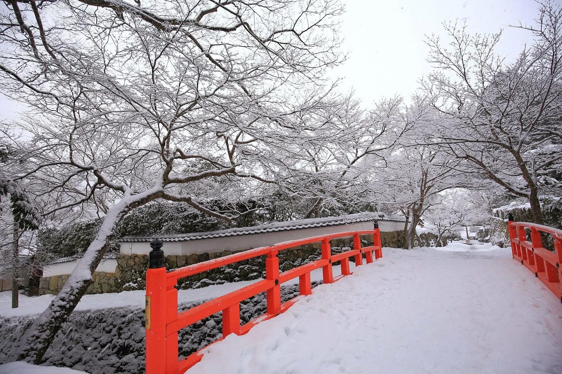 Стоки япония. Чурейто, Япония зима. Зима в Киото Япония. Японский сад зимой. Японский парк зимой.