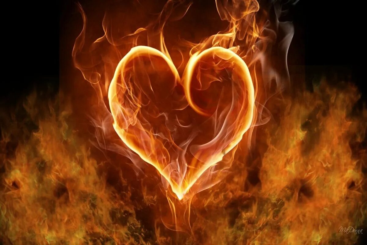 Пламя сердца твоего. Огненное сердце. Пылающие сердца. Сердце в огне. Пламенное сердце.