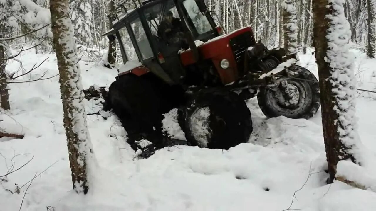 МТЗ 82 Форест. Трелевка леса на МТЗ 82. МТЗ-82.1 Лесной. МТЗ 82 С кенгурятником зимой. Мтз 82 трактор забайкальский край