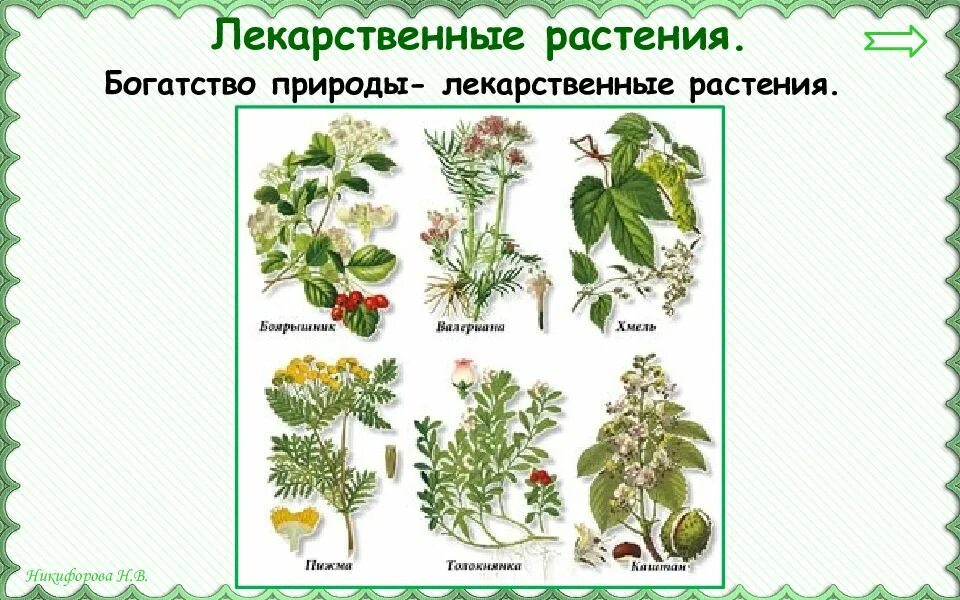 Государственных учреждениях растение. Охрана лекарственных растений. Охрана е растений 3 класс. Растения охрана растений 3 класс. Окр мир 3 класс охрана растений.