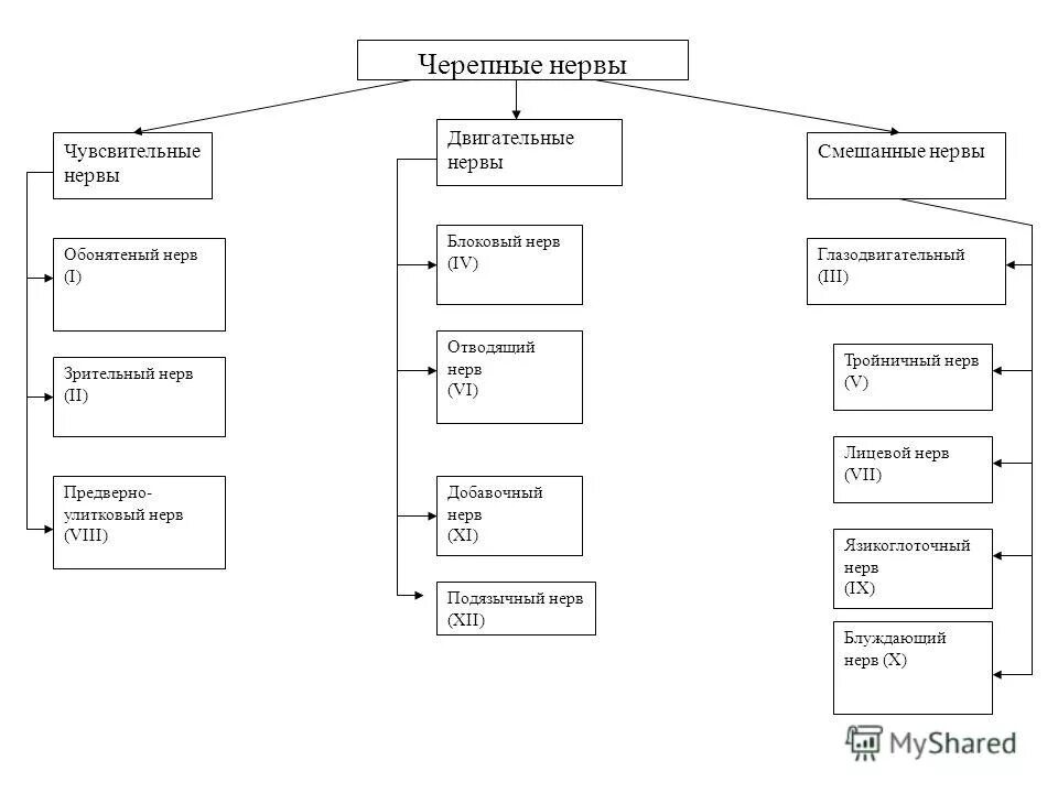 классификация черепных нервов. классификация черепных нервов. классификация черепных нервов. 3 пары. черепные нервы чувствительные двигательные смешанные функции.