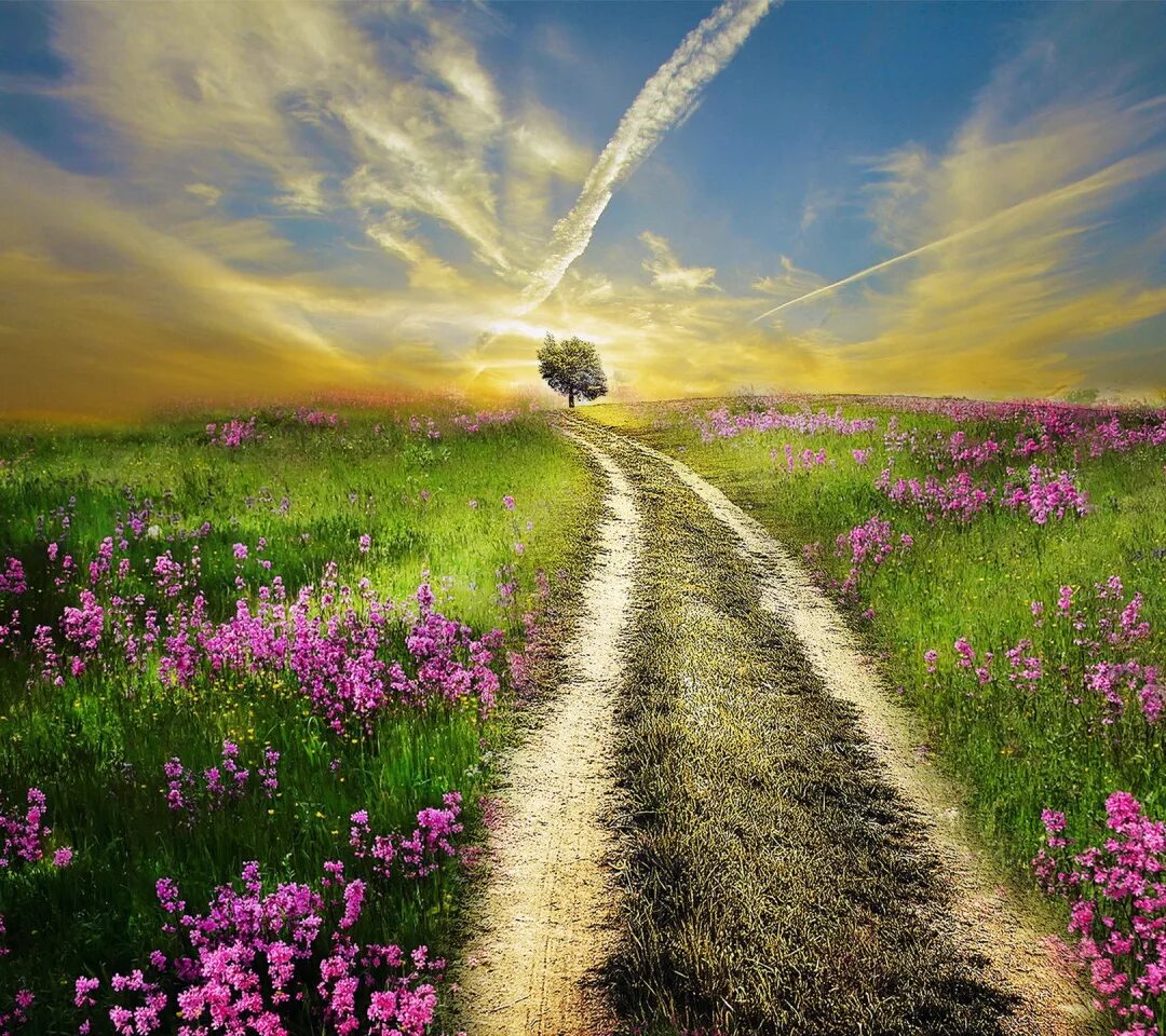 Тропинка рассвет. Вечный путь цветы. Умение любить. Павильон искусственных цветов. Вечный путь цветы.