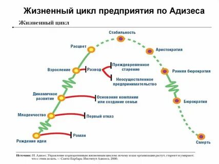 Жизненный цикл компании по адизесу