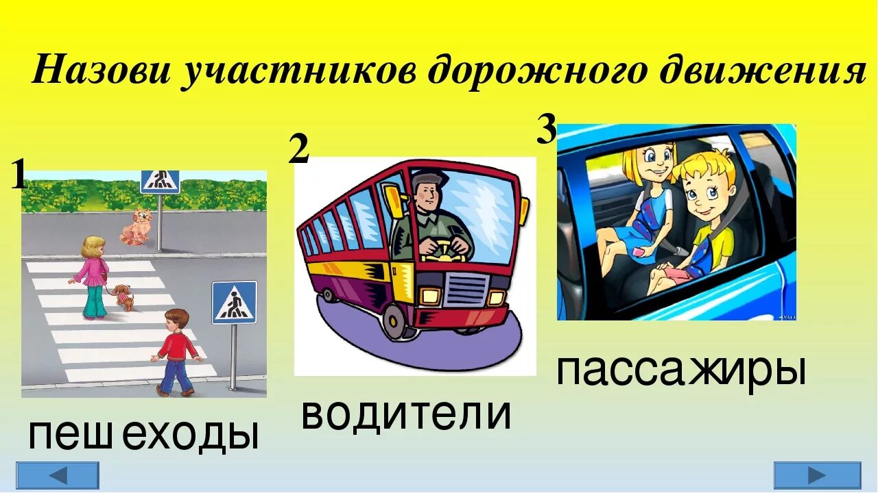 Картинка водителя дорожного движения. Участники дорожного движения. Пешеходы и пассажиры участники дорожного движения. Участники дорожного движения для детей. Пешеход водитель пассажир.