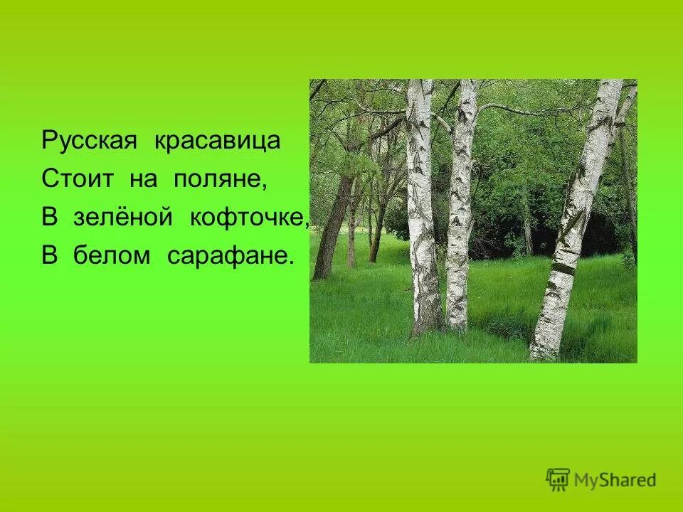 На поляне в белом сарафане. Пальчиковая игра дом и ворота. На поляне стоял. 59. Текст на зеленой поляне.