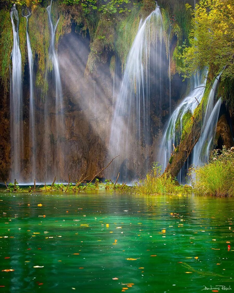 Показать картинку. Плитвицкие озёра водопады. Карлинвилль водопад. Вриндаван водопады. Табиат манзараси.
