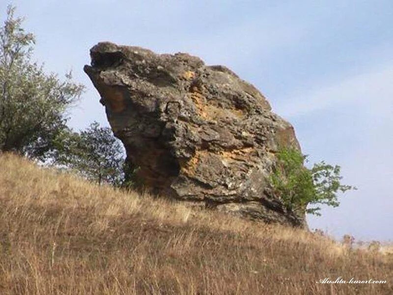 Гора лягушка Ставропольский край. Александровское Ставропольского края гора. Гора лягушка село Александровское Ставропольский край. Памятники село Александровское Ставропольский край. Камни ставропольского края