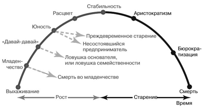 Стадии жизненного цикла организации по модели и Адизеса. Модели ЖЦО. Модель жизненного цикла по Адизесу. Модель жизненного цикла организации по Адизесу. Организация ее жизненный цикл