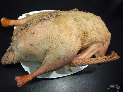 Гусь с гречкой