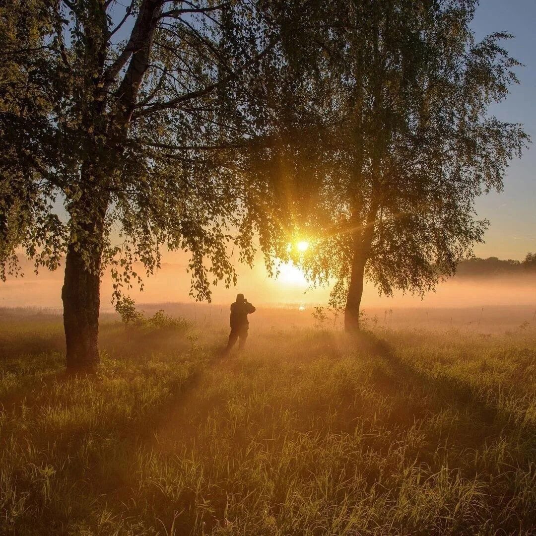 Теплое лето. Летний пейзаж рассвет. Рассвет фото красивые. Летний вечер идея